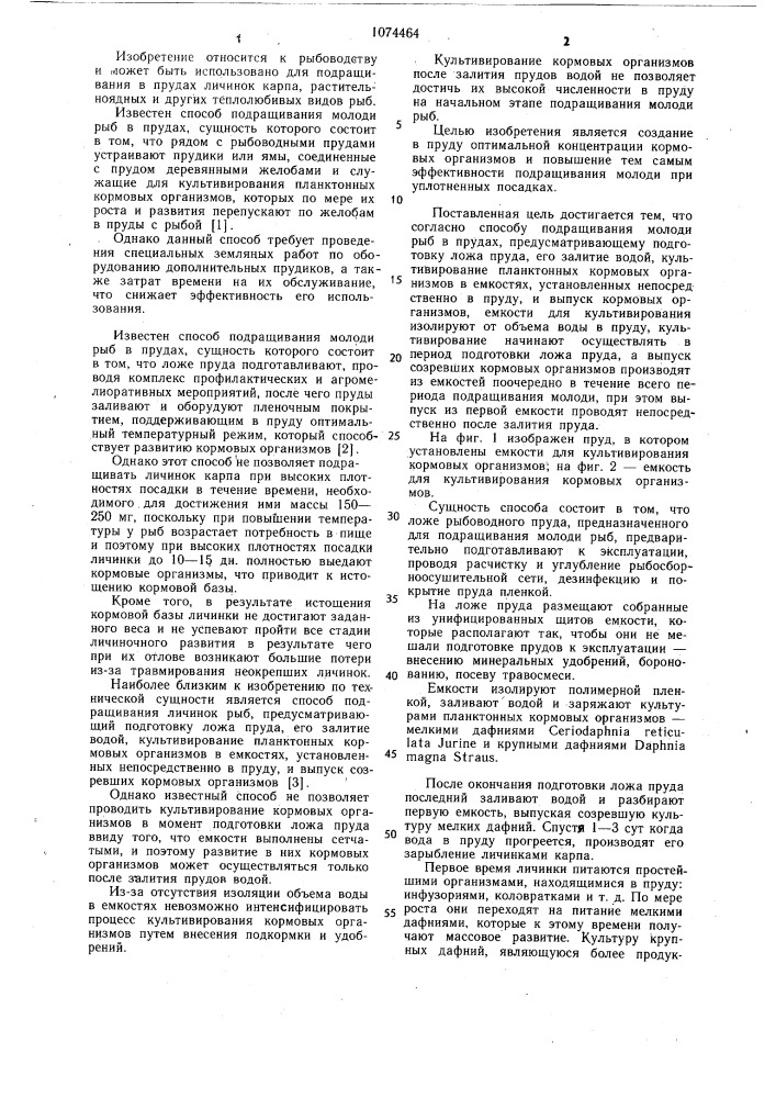 Способ подращивания молоди рыб в прудах (патент 1074464)