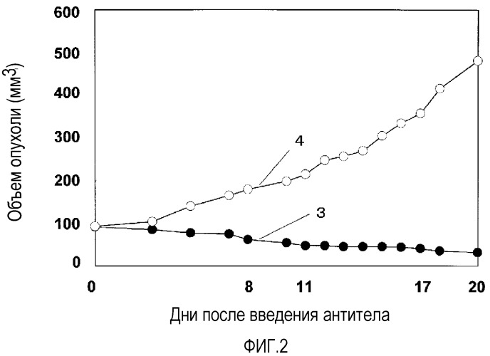 Фармацевтическая композиция для лечения и предупреждения рака (патент 2533460)