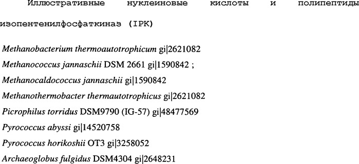 Полимеры изопрена из возобновляемых источников (патент 2505605)