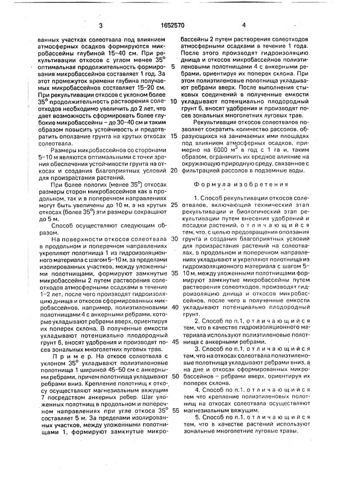 Способ рекультивации откосов солеотвалов (патент 1652570)