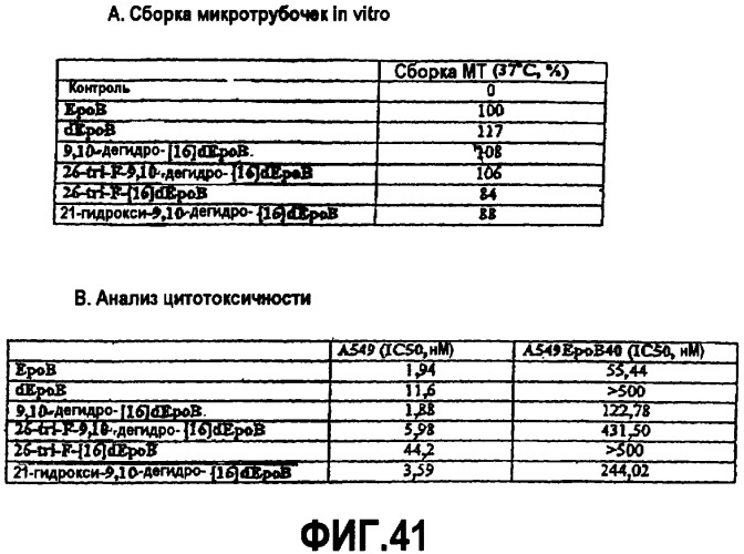 Синтез эпотилонов, их промежуточных продуктов, аналогов и их применения (патент 2462463)