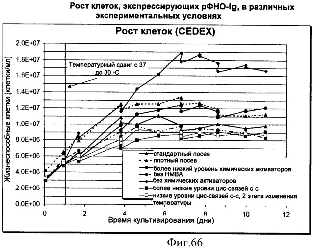 Производство полипептидов (патент 2451082)