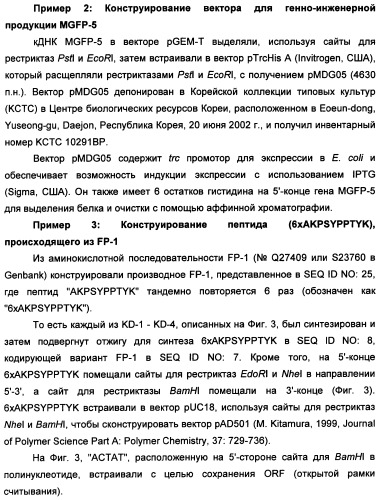 Биоадгезив мидии (патент 2349599)