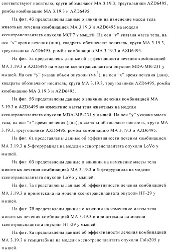 Стабилизированные антитела против ангиопоэтина-2 и их применение (патент 2509085)