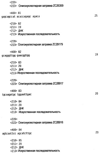 Новый лиганд рецептора цитокина zcytor17 (патент 2360923)