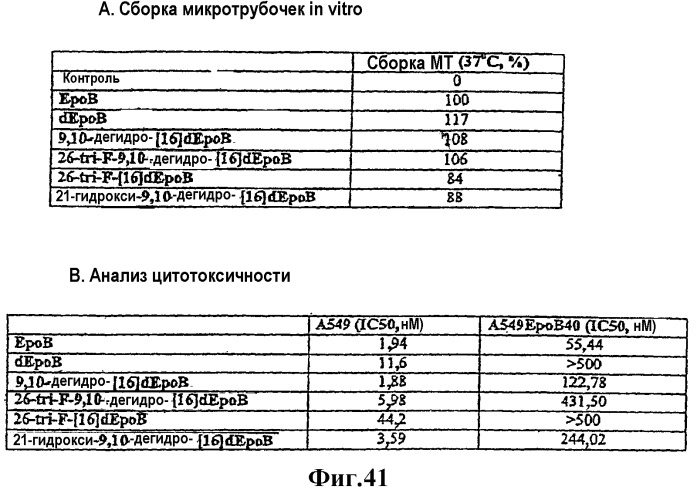 Синтез эпотилонов, их промежуточных продуктов, аналогов и их применения (патент 2311415)