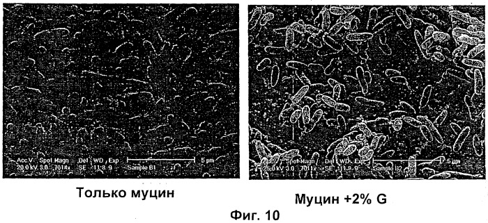 Использование альгинатных олигомеров в борьбе с биопленками (патент 2527894)