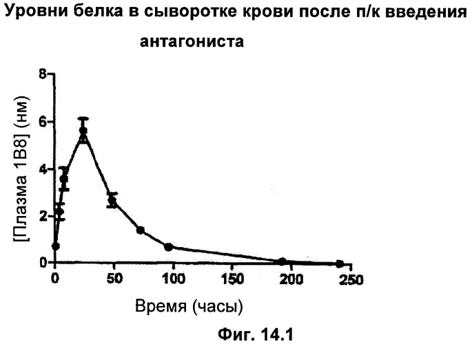 Химерный полипептид - антагонист рецептора гормона роста, нуклеиновая кислота, экспрессирующий вектор, применение химерного полипептида (варианты), фармацевтическая композиция, клетка, способ получения химерного полипептида и способ лечения (патент 2346047)
