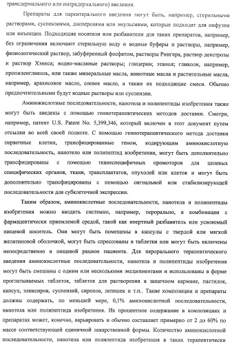 Аминокислотные последовательности, направленные на rank-l, и полипептиды, включающие их, для лечения заболеваний и нарушений костей (патент 2481355)