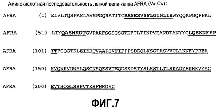 Антитела и фрагменты антител человека против рецептора фолата альфа для радиоиммунотерапии карциномы яичника (патент 2464277)