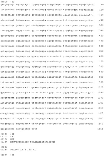 Pscaxcd3, cd19xcd3, c-metxcd3, эндосиалинxcd3, epcamxcd3, igf-1rxcd3 или fap-альфаxcd3 биспецифическое одноцепочечное антитело с межвидовой специфичностью (патент 2547600)