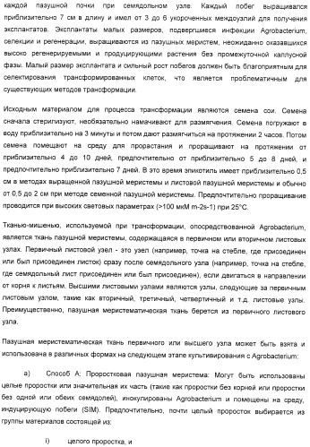 Улучшенная трансформация сои (патент 2389797)