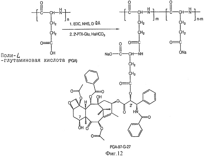 Конъюгаты полиглутамат-аминокислота и способы (патент 2472812)