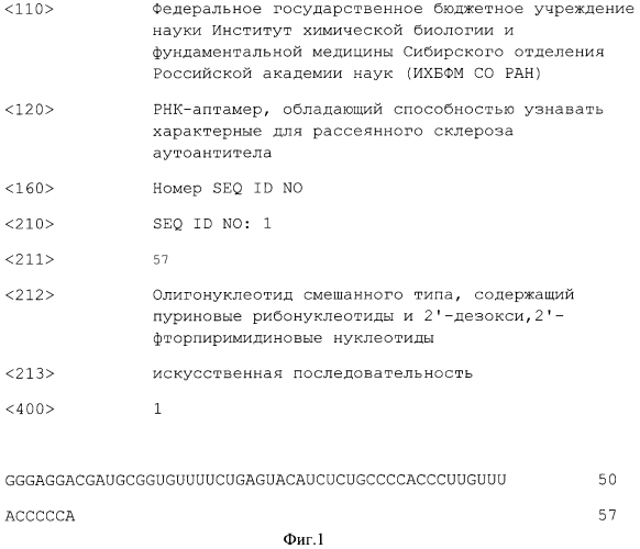 Рнк-аптамер, обладающий способностью узнавать характерные для рассеянного склероза аутоантитела (патент 2549704)