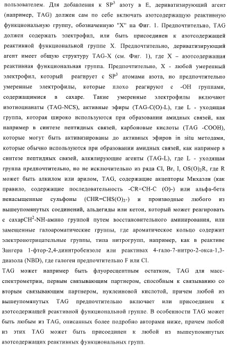 Твердофазное тегирование олигосахаридов: методика для манипуляции с иммобилизированными углеводами (патент 2398237)