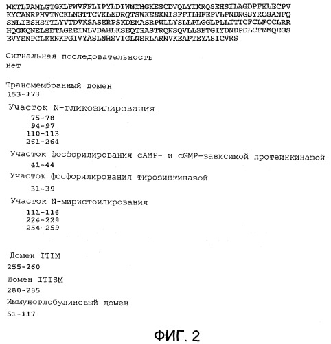 Новая композиция и способы лечения связанных с иммунитетом заболеваний (патент 2375078)