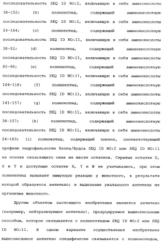 Новый лиганд рецептора цитокина zcytor17 (патент 2360923)