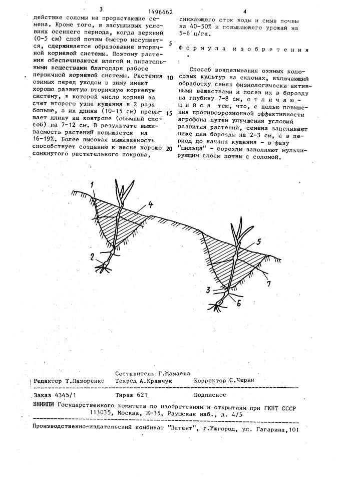 Способ возделывания озимых колосовых культур на склонах (патент 1496662)