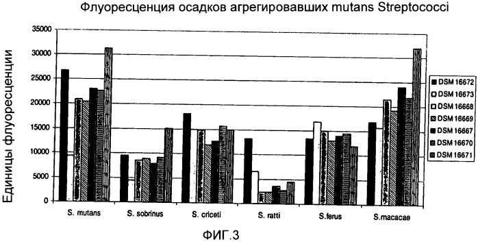 Применение и способ профилактики или лечения кариеса, вызванного mutans streptococci, отличных от streptococcus mutans (патент 2446208)