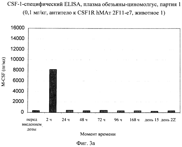 Антитела, связывающиеся преимущественно с внеклеточным доменом 4 человеческого csf-1r, и их применение (патент 2565541)