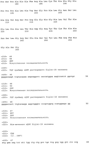 Антитело, направленное на белок siglec-15, связанный с остеокластами (патент 2475499)