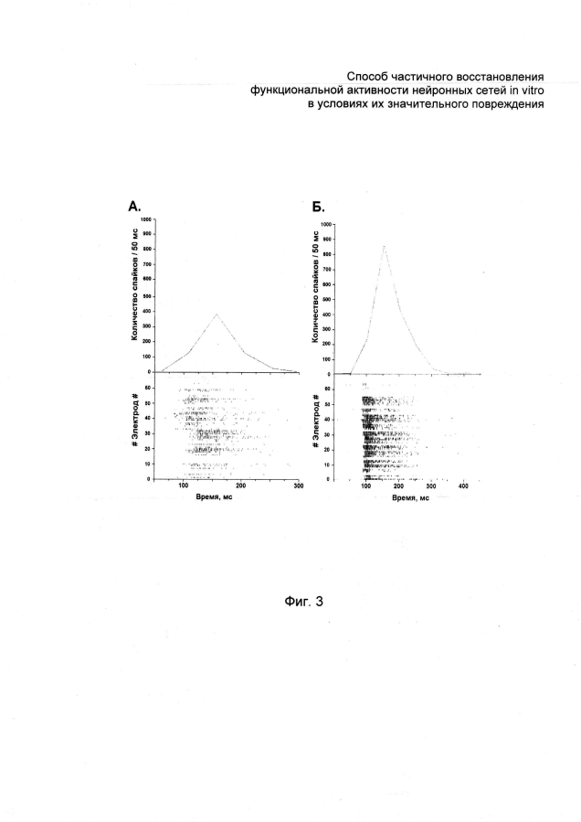 Способ частичного восстановления функциональной активности нейронных сетей in vitro в условиях их значительного повреждения (патент 2594065)