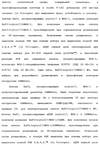 Новый лиганд рецептора цитокина zcytor17 (патент 2360923)