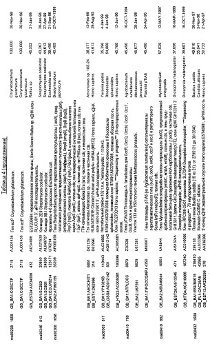 Гены corynebacterium glutamicum, кодирующие белки, участвующие в синтезе мембран и мембранном транспорте (патент 2312145)