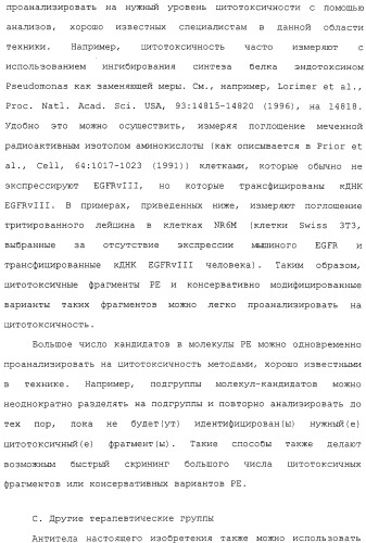 Scfv против egfrviii с улучшенной цитотоксичностью и выходом, иммунотоксины на их основе и способы их применения (патент 2317999)