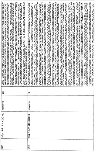 Pscaxcd3, cd19xcd3, c-metxcd3, эндосиалинxcd3, epcamxcd3, igf-1rxcd3 или fap-альфаxcd3 биспецифическое одноцепочечное антитело с межвидовой специфичностью (патент 2547600)