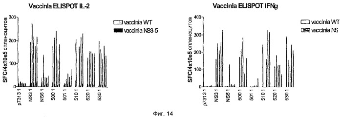 Вакцина (патент 2363492)