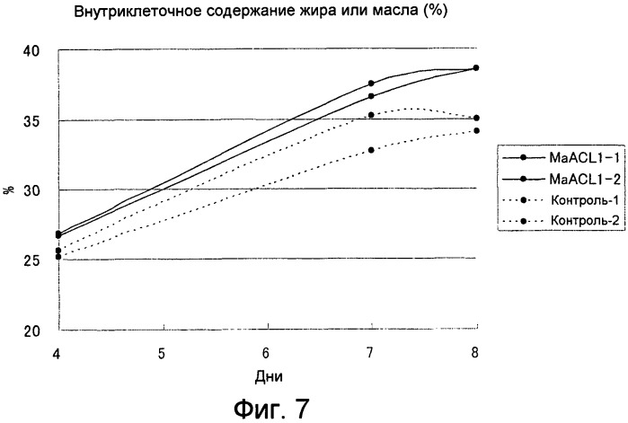 Новые гены атф:цитратлиазы (патент 2534560)