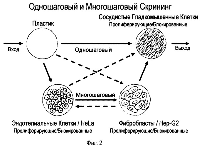 Способ получения бактериофагов, специфично связывающихся с клетками-мишенями и предназначенных для терапевтических целей (патент 2263146)