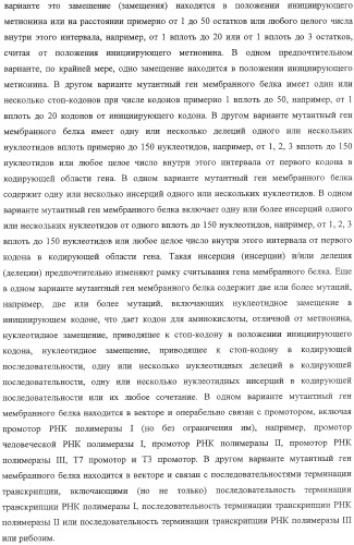 Выделенный рекомбинантный вирус гриппа и способы его получения (патент 2351651)