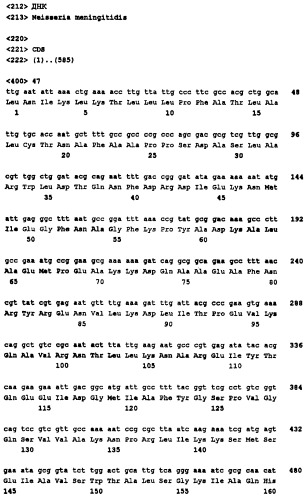 Пептид со свойствами антигена neisseria meningitidis, кодирующий его полинуклеотид, вакцина для лечения или предотвращения заболеваний или состояний, вызванных neisseria meningitidis, (варианты), антитело, связывающееся с указанным пептидом (патент 2252224)