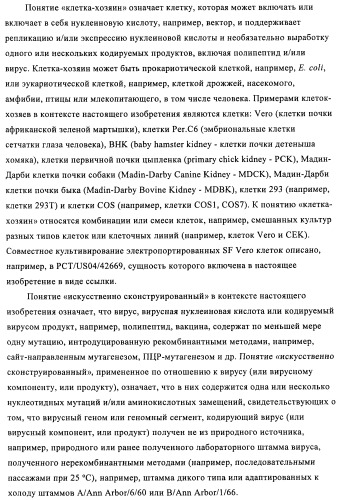 Способы и композиции для экспрессии антисмысловой вирусной рнк в клетках собаки (патент 2457250)
