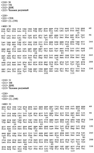 Выделенное анти-cd30 антитело (варианты), хозяйская клетка, способ получения химерного или гуманизированного варианта анти-cd30 антител (варианты), способ ингибирования роста клеток cd30+ и способ ингибирования роста опухолевых клеток, экспрессирующих cd30 (патент 2492186)