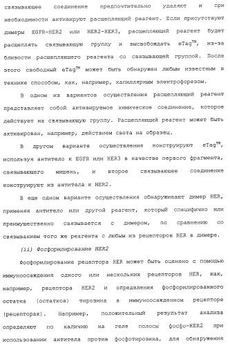 Продление времени до прогрессирования заболевания или продолжительности жизни у онкологических больных с применением ингибиторов димеризации her (патент 2404806)
