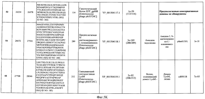 Бактериофаг, обладающий активностью против pseudomonas aeruginosa, белки бактериофага и способы их применения (патент 2580248)