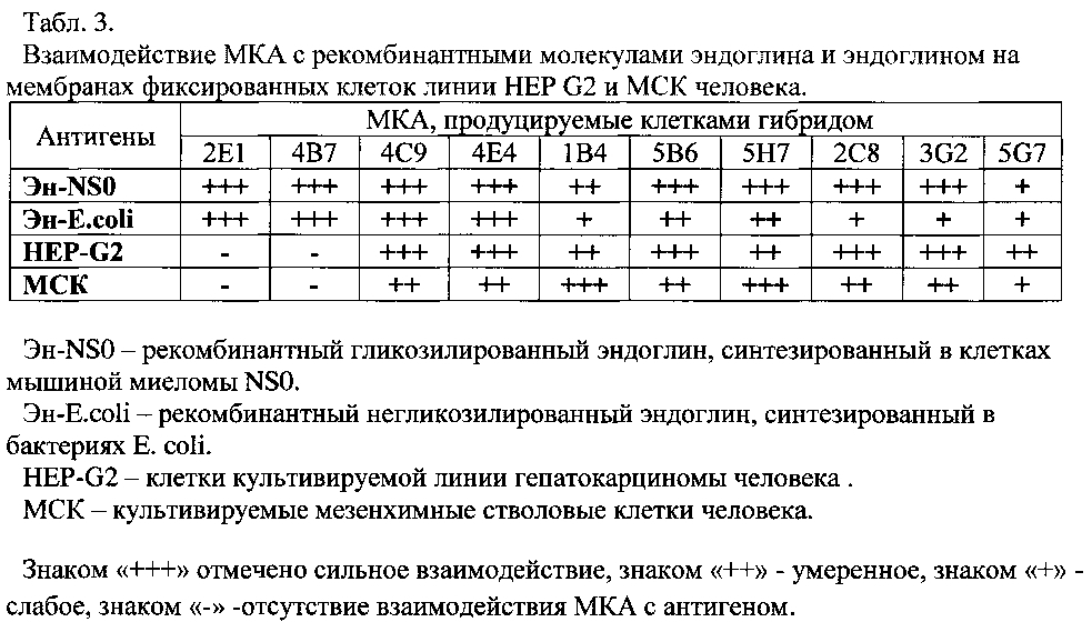 Штамм гибридных культивируемых клеток животных mus musculus l. en-4e4 - продуцент моноклональных антител против эндоглина (cd105) человека (патент 2604192)