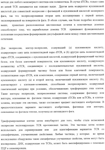 Экспонирование т-клеточных рецепторов (патент 2346004)