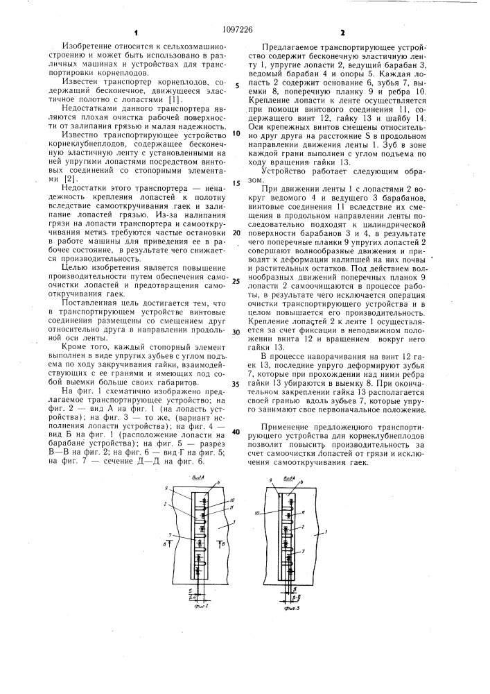 Транспортирующее устройство корнеклубнеплодов (патент 1097226)