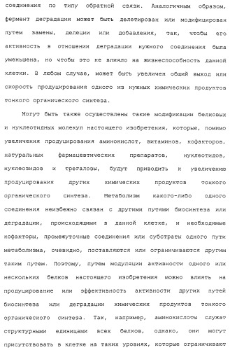 Гены corynebacterium glutamicum, кодирующие белки метаболических путей (патент 2306339)