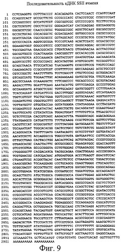 Ячмень с пониженной активностью синтазы крахмала ii (ssii) и крахмалсодержащие продукты с пониженным содержанием амилопектина (патент 2268584)