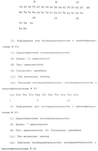 Антитела против белка, родственного паращитовидному гормону человека (патент 2322453)