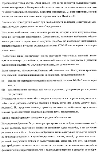 Растения, имеющие улучшенные характеристики роста, и способы их получения (патент 2463352)