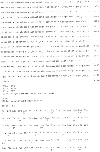 Pscaxcd3, cd19xcd3, c-metxcd3, эндосиалинxcd3, epcamxcd3, igf-1rxcd3 или fap-альфаxcd3 биспецифическое одноцепочечное антитело с межвидовой специфичностью (патент 2547600)