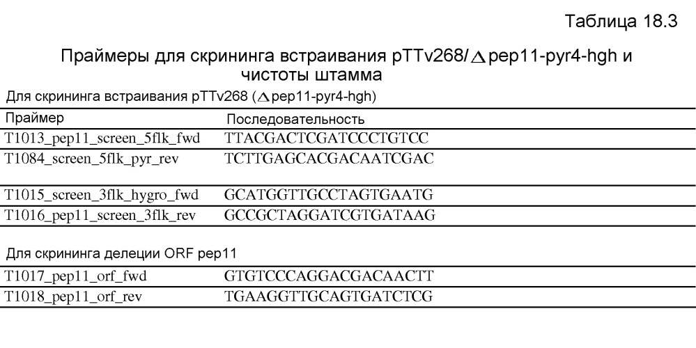 Клетка нитчатых грибов с дефицитом протеаз и способы ее применения (патент 2645252)