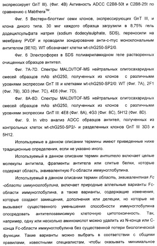 Гликозилированные антитела (варианты), обладающие повышенной антителозависимой клеточной цитотоксичностью (патент 2321630)