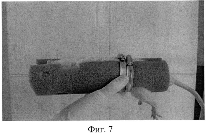 Устройство для бережной фиксации в неподвижном состоянии мелких лабораторных животных, позволяющее производить манипуляции с выбранным участком поверхности тела (патент 2524251)